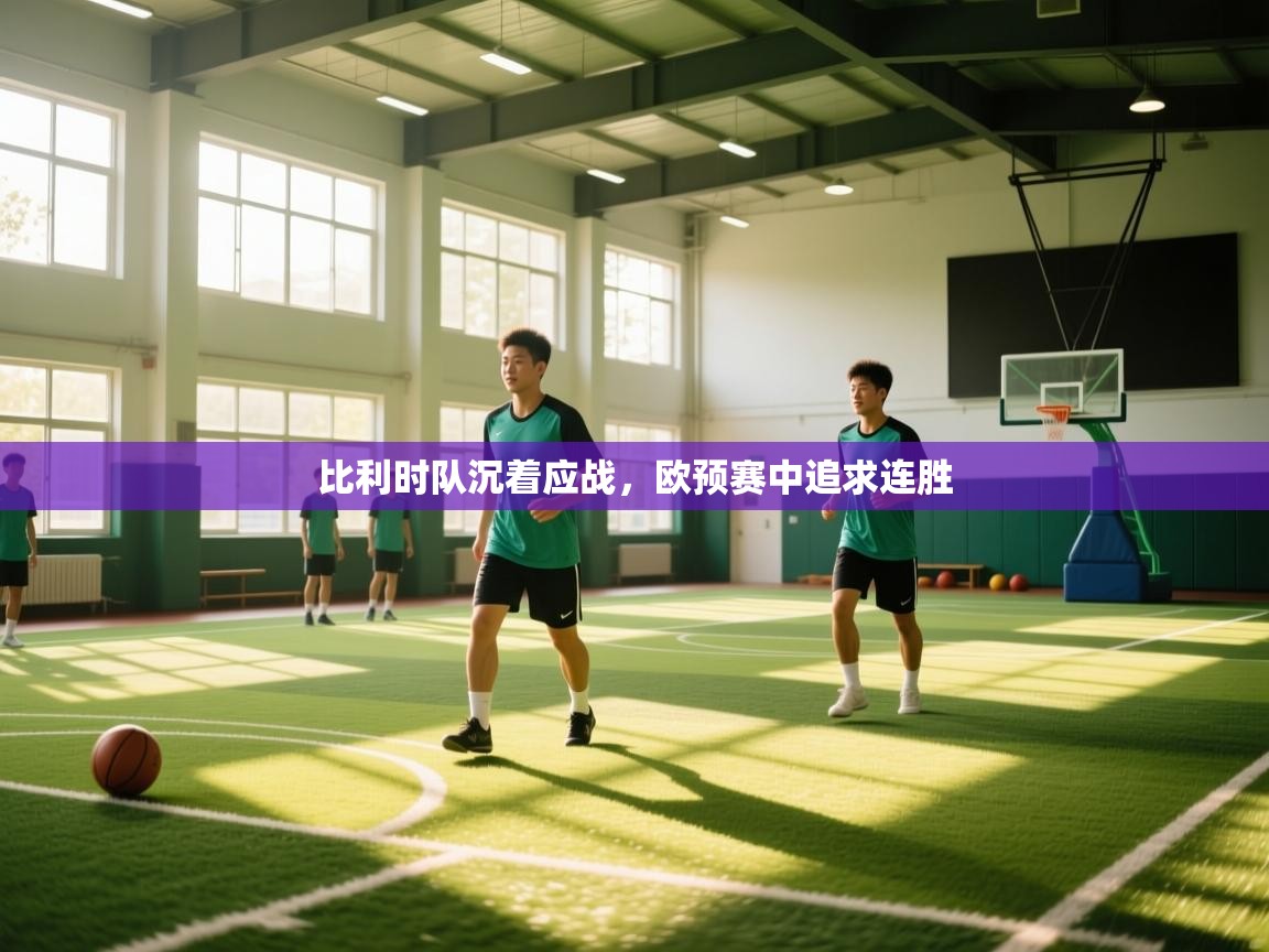 比利时队沉着应战，欧预赛中追求连胜  第2张