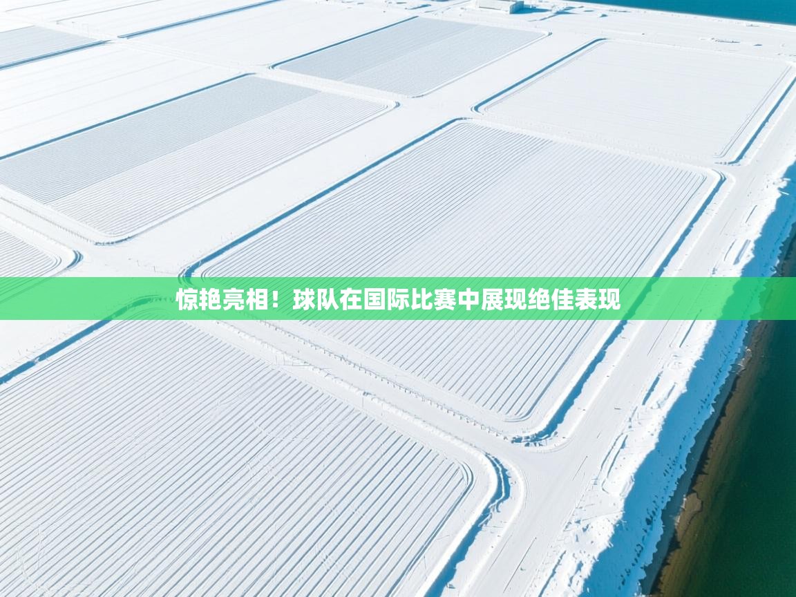 惊艳亮相!球队在国际比赛中展现绝佳表现 第2张