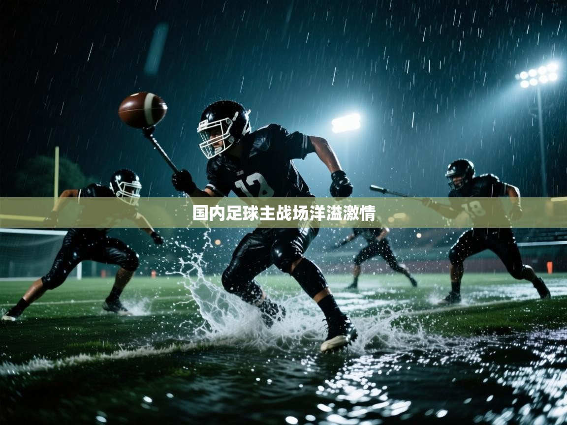国内足球主战场洋溢激情 第2张